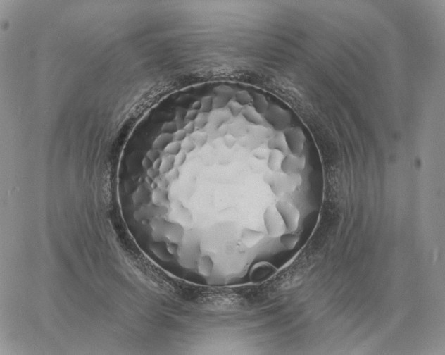 X0000060770642200511241754