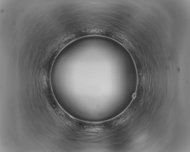 X0000060770643200511241754