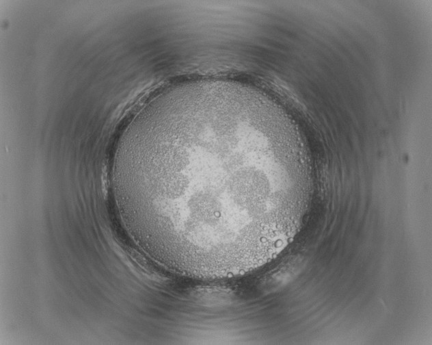 X0000060770644200511241755