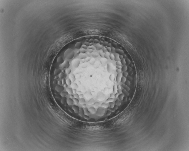 X0000060770645200511241755