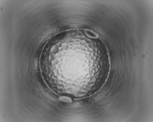 X0000060770646200511241755