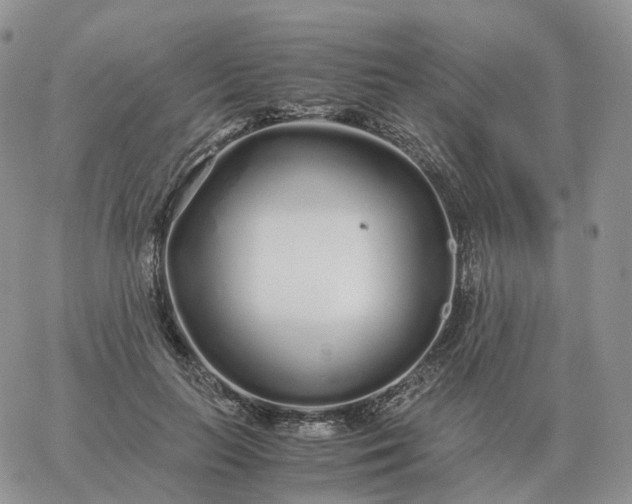 X0000060770647200511241755