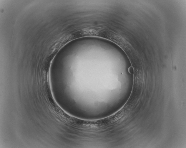 X0000060770649200511241755