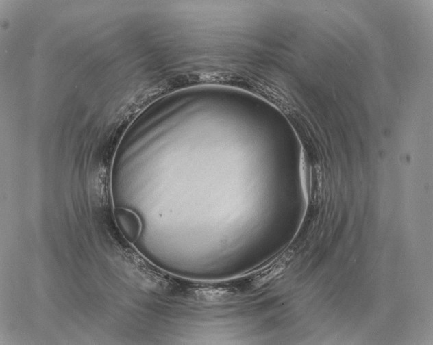 X0000060770650200511241755