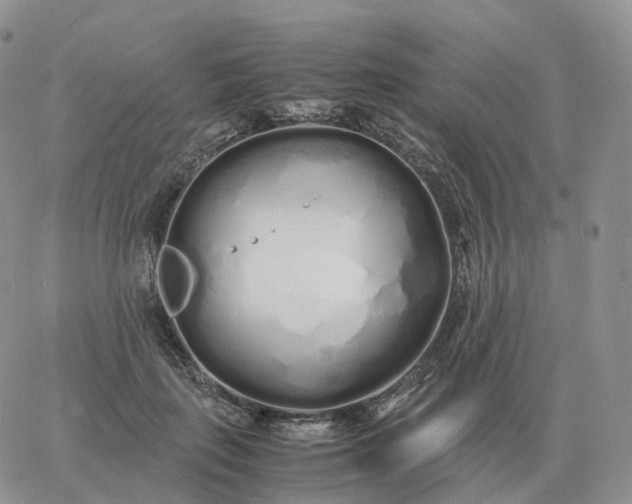 X0000060770651200511241755