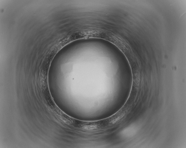 X0000060770653200511241755