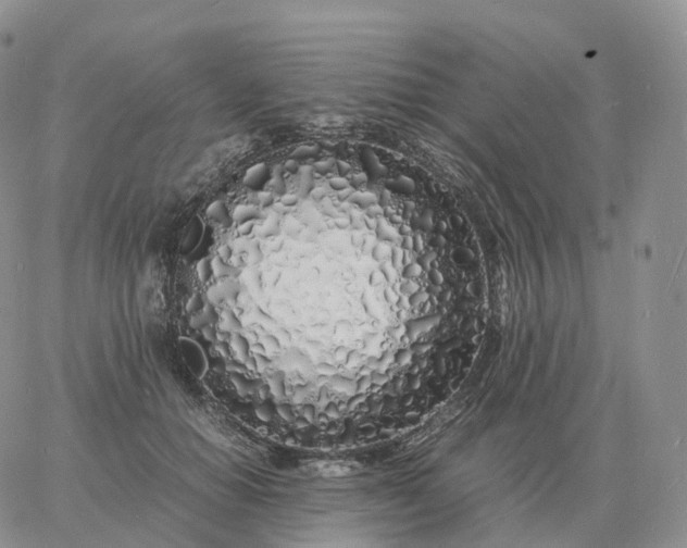 X0000060770654200511241755