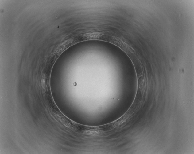 X0000060770655200511241755