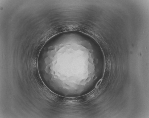 X0000060770657200511241755