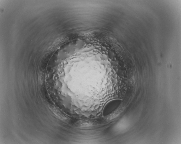 X0000060770658200511241755