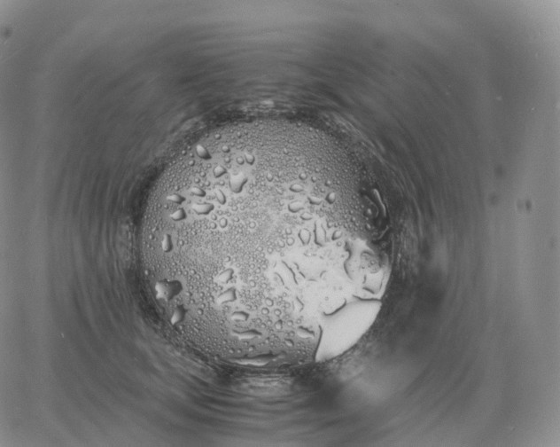 X0000060770659200511241755