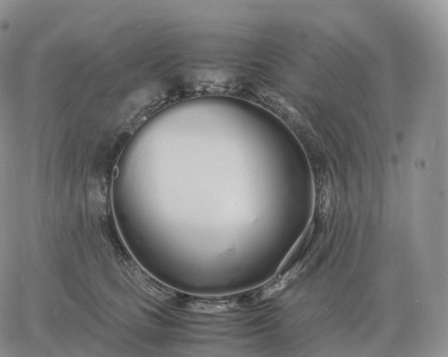 X0000060770661200511241755