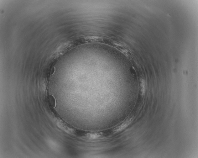 X0000060770662200511241755