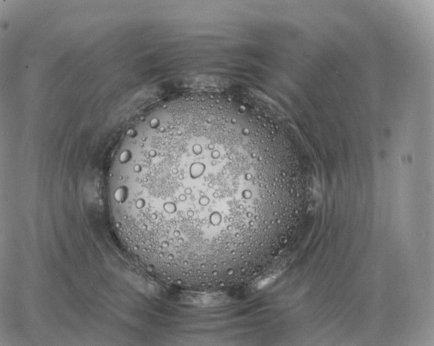 X0000060770663200511241755