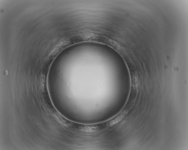 X0000060770664200511241755