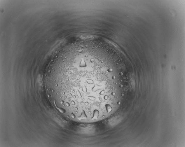 X0000060770667200511241755