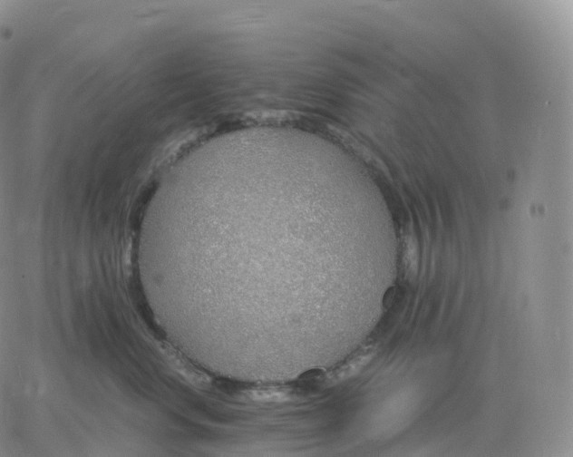 X0000060770668200511241755