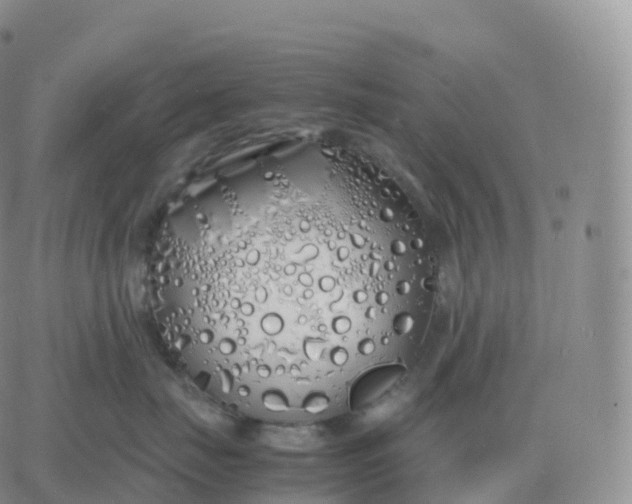 X0000060770671200511241755