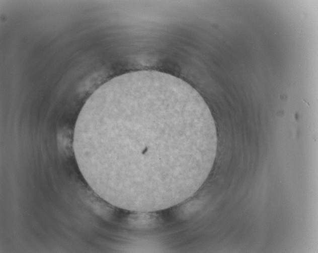 X0000060770672200511241755