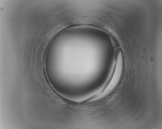 X0000060770673200511241754