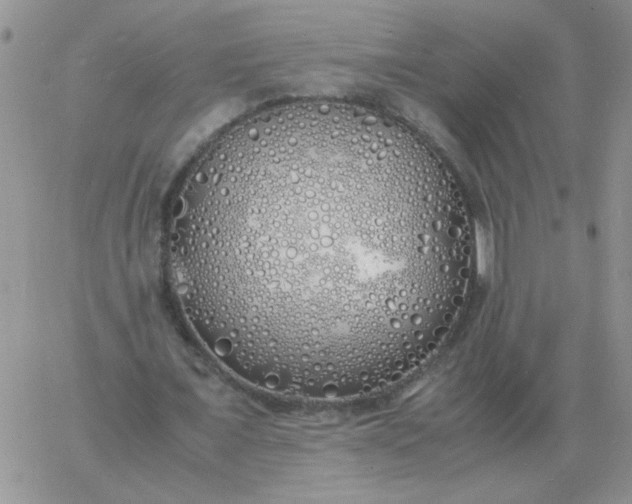 X0000060770675200511241754