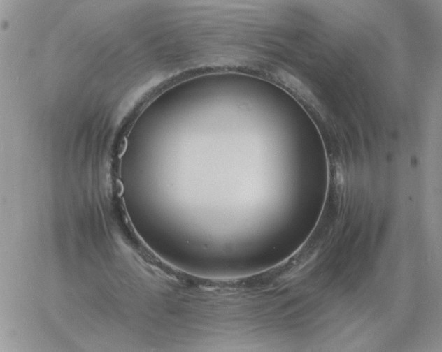 X0000060770676200511241754