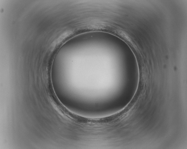 X0000060770677200511241754