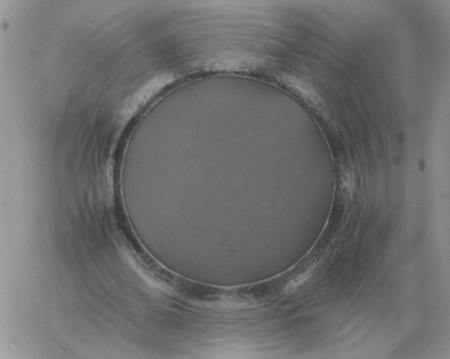 X0000060770678200511241754