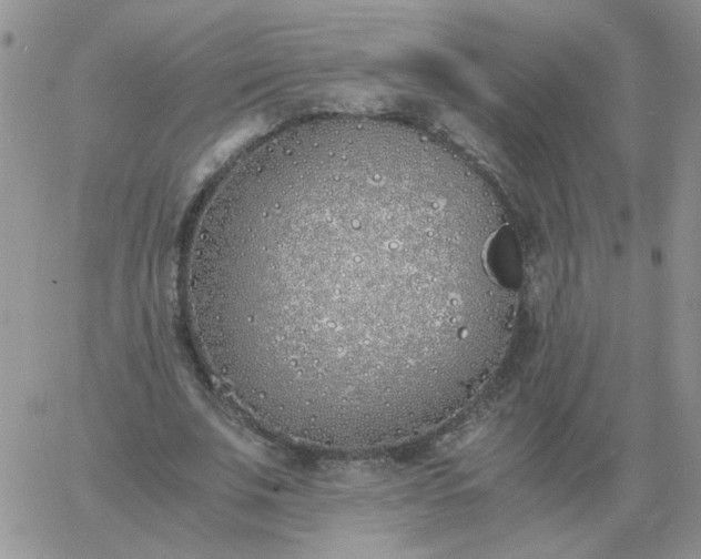 X0000060770679200511241754