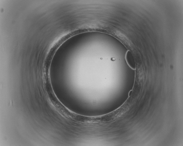 X0000060770680200511241754