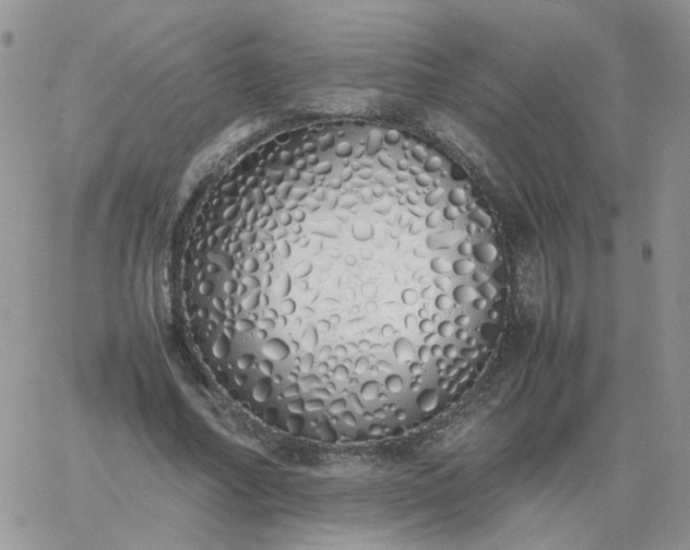 X0000060770682200511241754