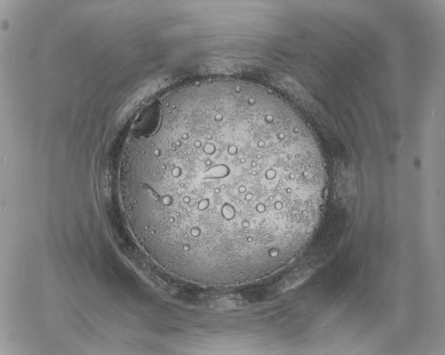 X0000060770683200511241754