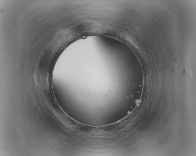 X0000060770685200511241754