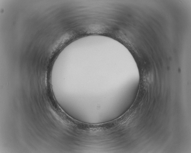 X0000060770686200511241754