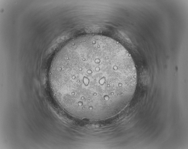 X0000060770687200511241754