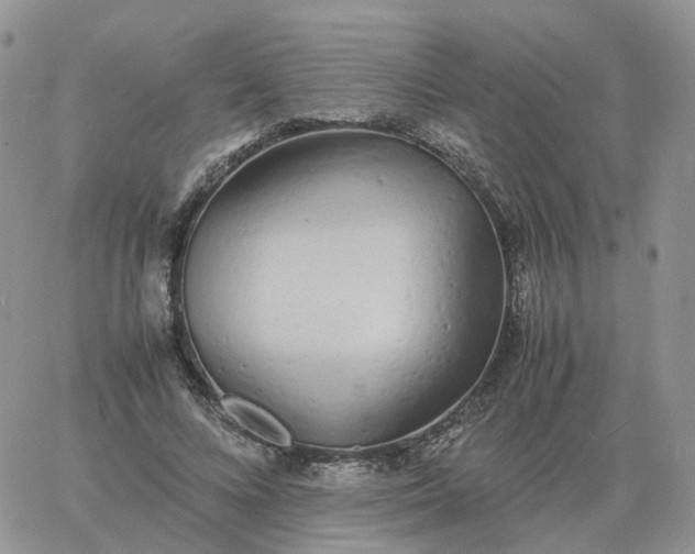 X0000060770688200511241754