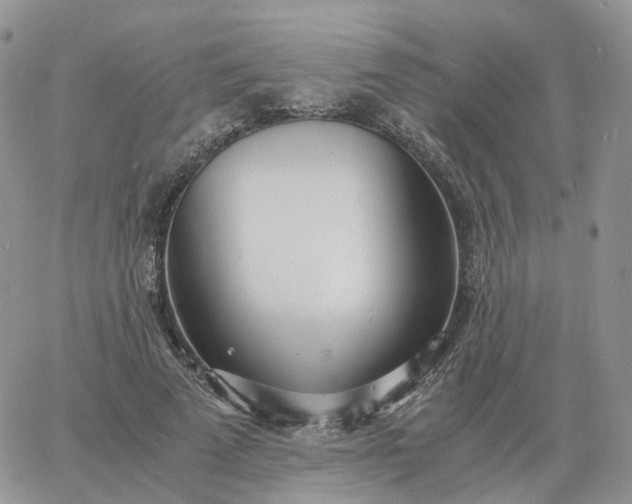 X0000060770689200511241754