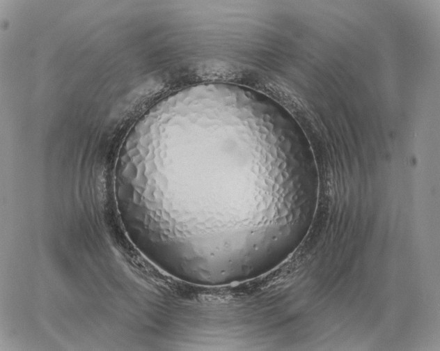 X0000060770690200511241754