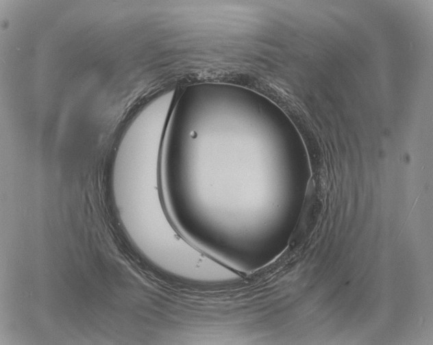 X0000060770691200511241754