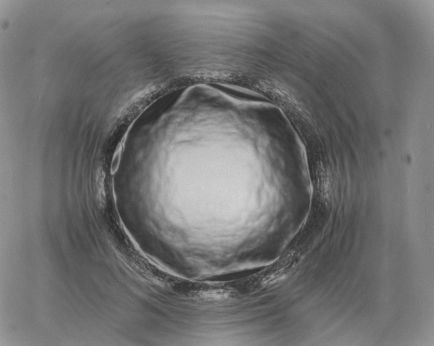 X0000060770692200511241754