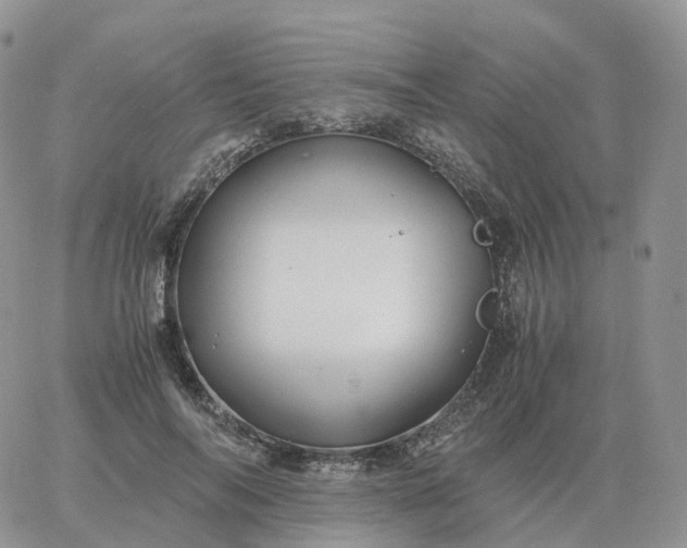 X0000060770694200511241754