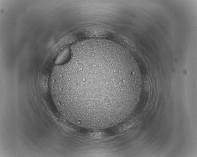 X0000060770695200511241754