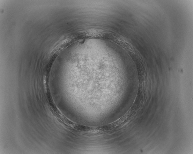 X0000060770696200511241754