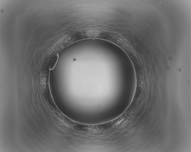 X0000060770697200511241754