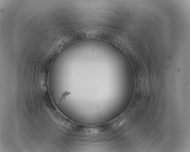 X0000060770698200511241754