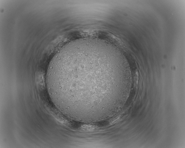 X0000060770699200511241754