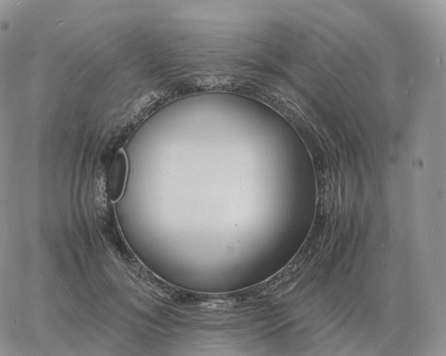 X0000060770700200511241754