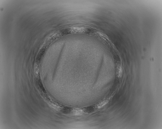 X0000060770701200511241754