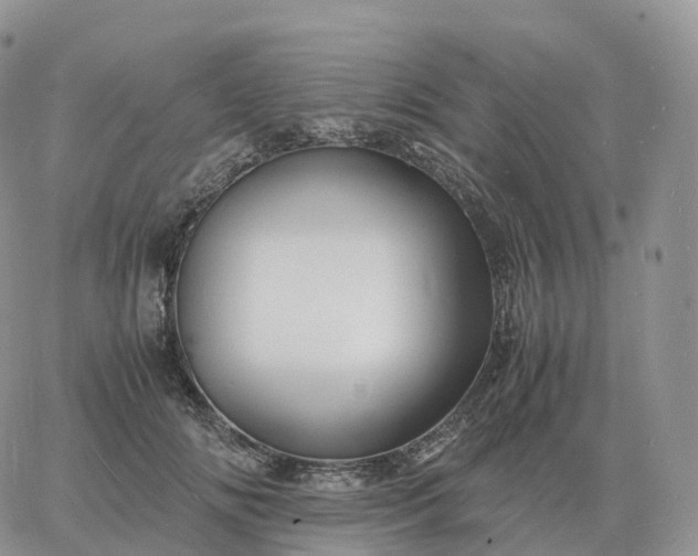 X0000060770702200511241754