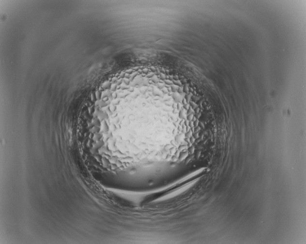 X0000060770703200511241754